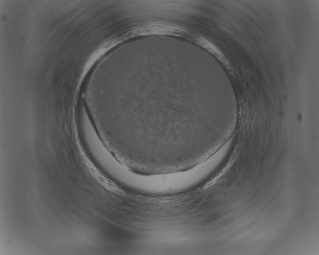 X0000070191130200605301306