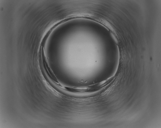 X0000070191132200605301306