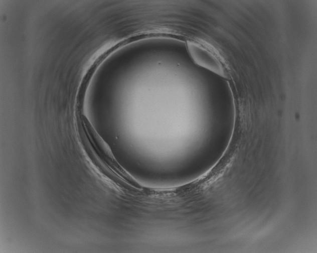 X0000070191133200605301306