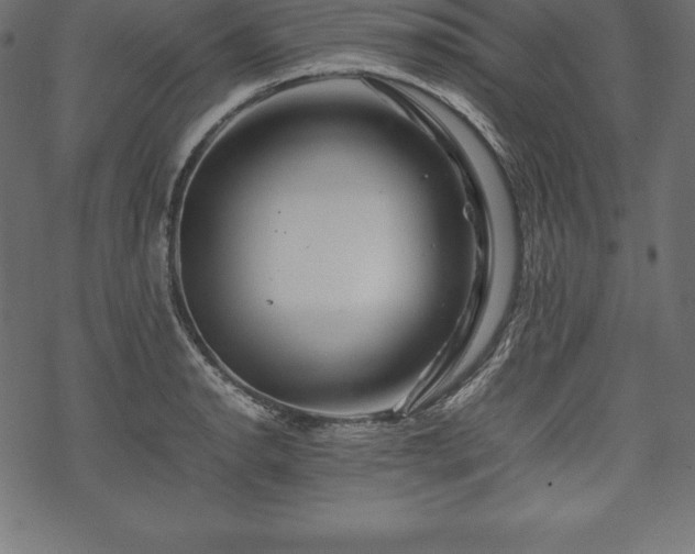 X0000070191134200605301306