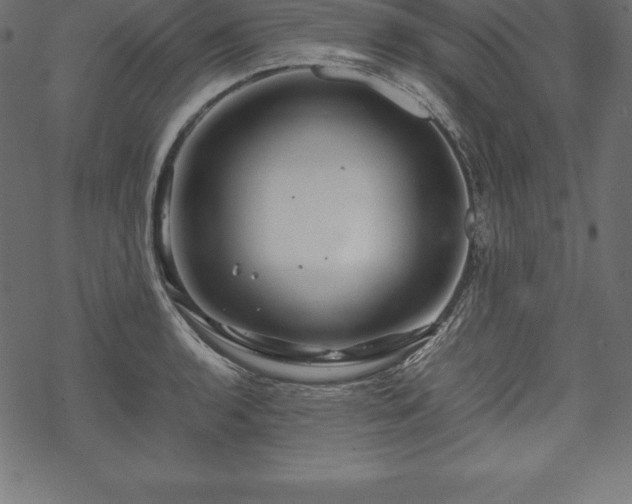 X0000070191136200605301306