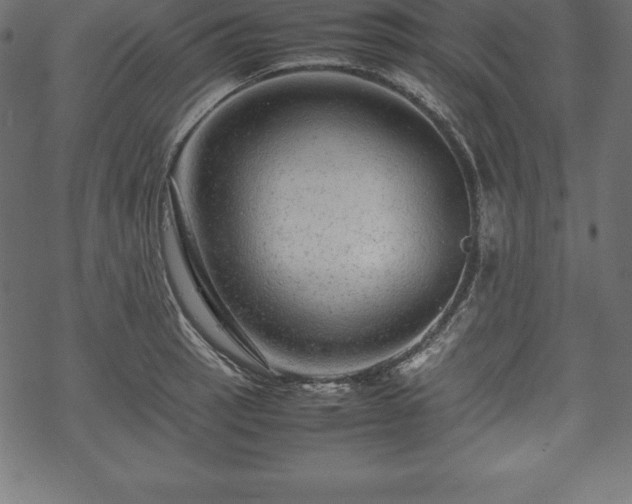 X0000070191137200605301306