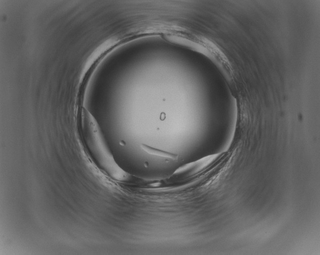 X0000070191138200605301306