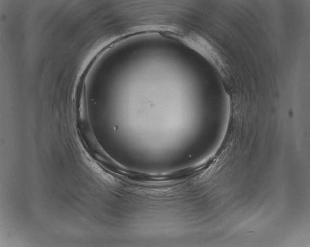 X0000070191140200605301306