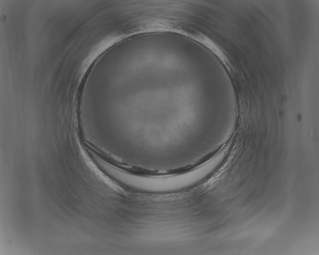 X0000070191142200605301306