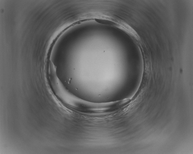 X0000070191144200605301306