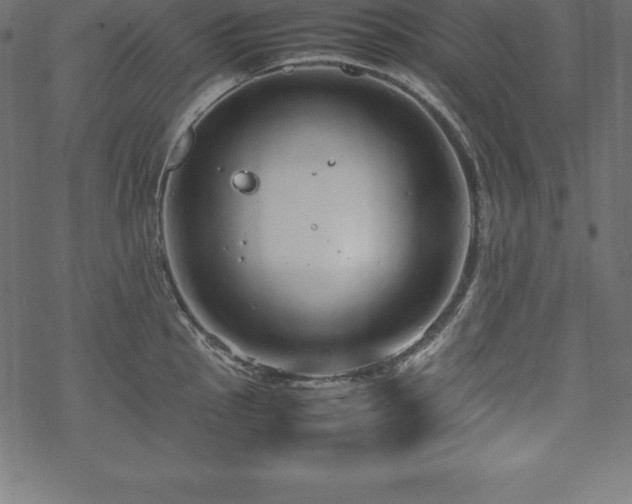 X0000070191145200605301306