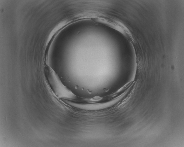 X0000070191146200605301306