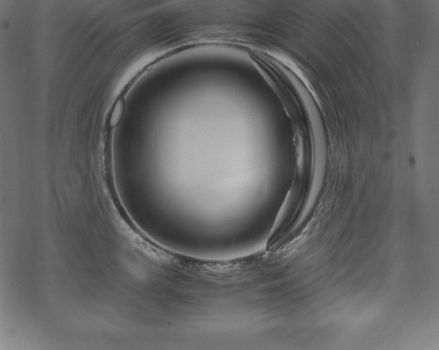 X0000070191147200605301306