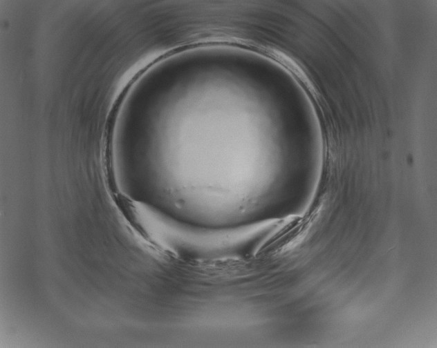 X0000070191149200605301306