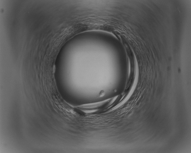 X0000070191153200605301305