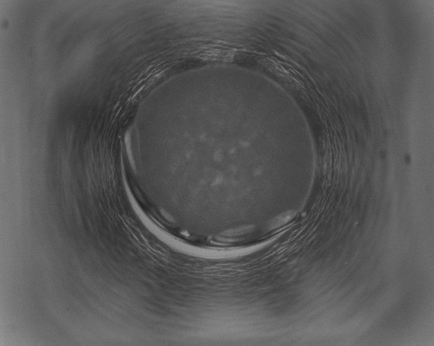 X0000070191154200605301305