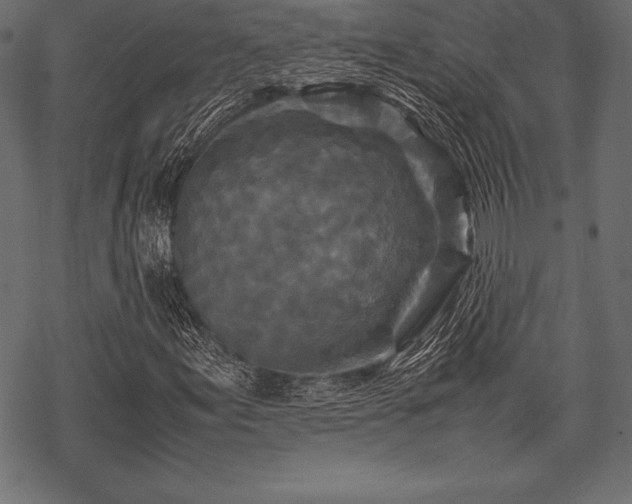 X0000070191155200605301305