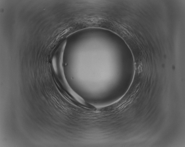 X0000070191156200605301305