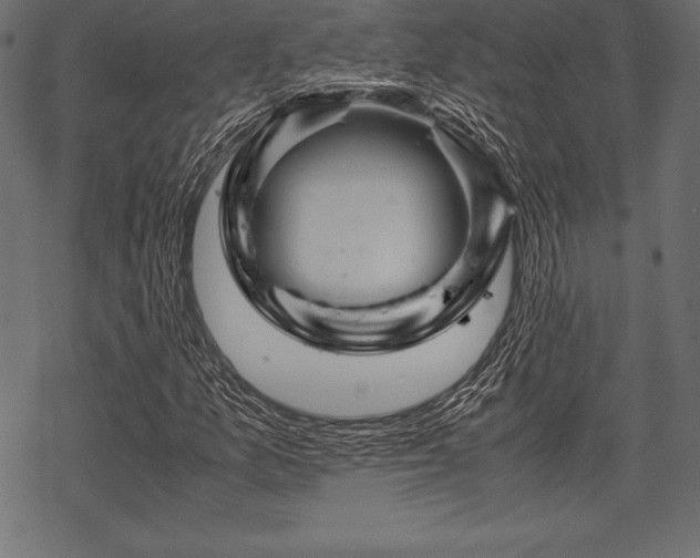 X0000070191157200605301305