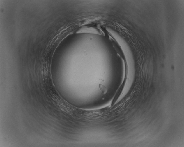 X0000070191158200605301305