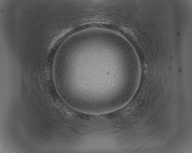 X0000070191159200605301305