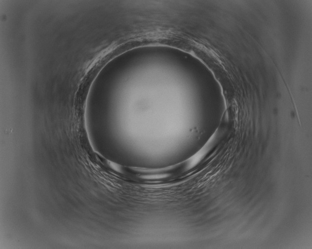 X0000070191160200605301305