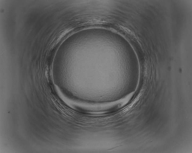 X0000070191161200605301305