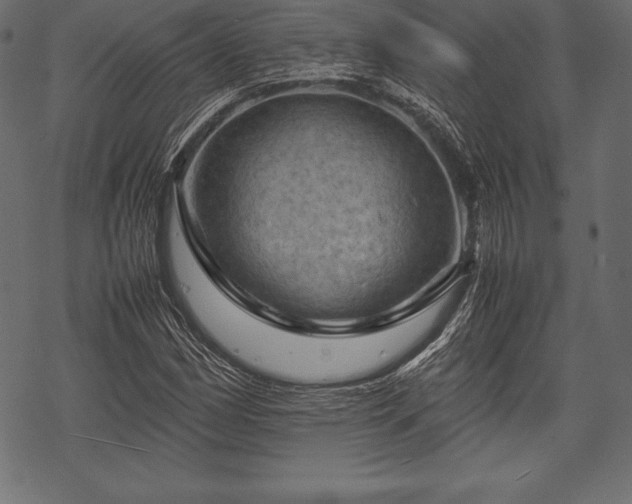 X0000070191162200605301305