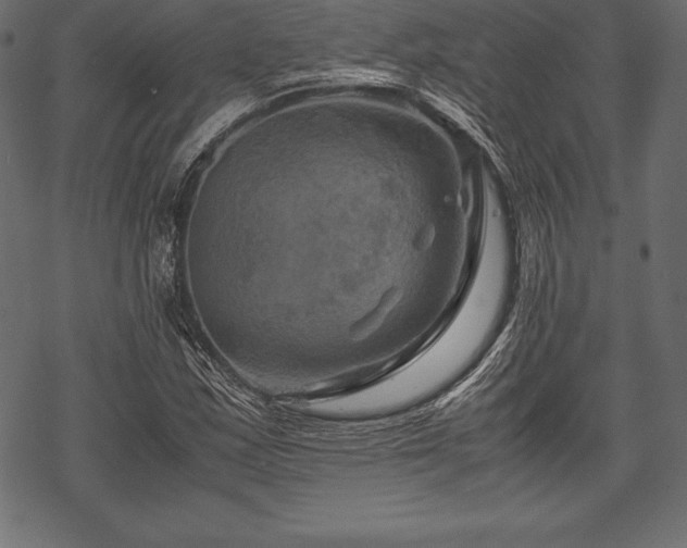 X0000070191163200605301305