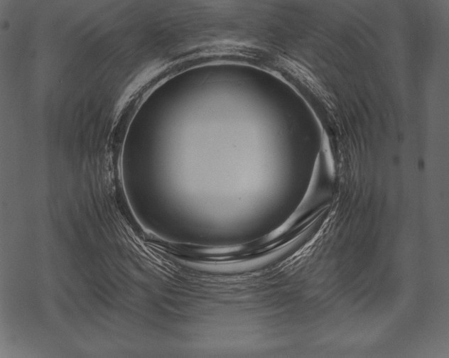 X0000070191164200605301305