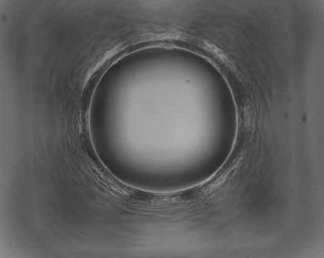 X0000070191165200605301305