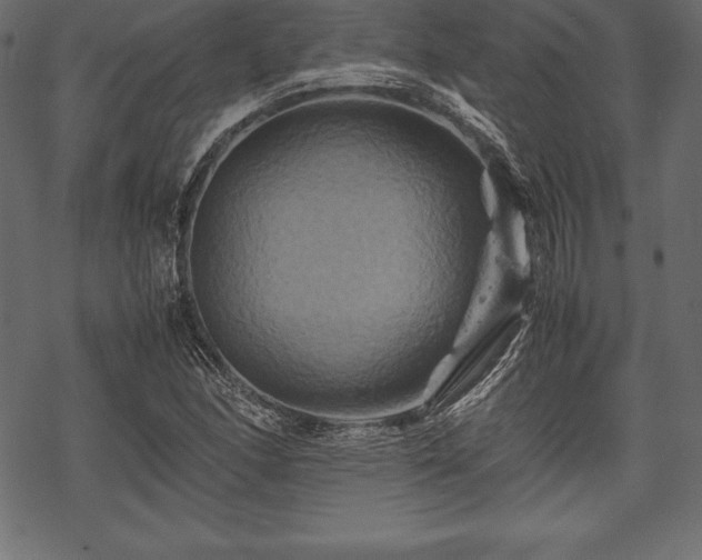 X0000070191166200605301305