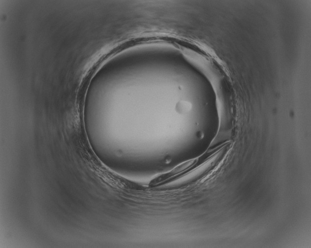 X0000070191167200605301305