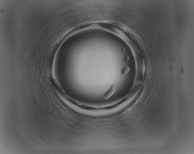 X0000070191169200605301305