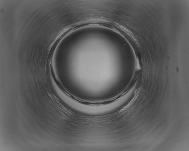 X0000070191170200605301305