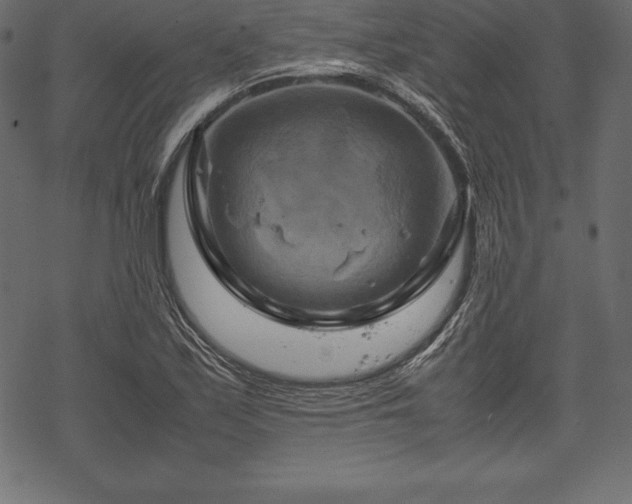 X0000070191171200605301305