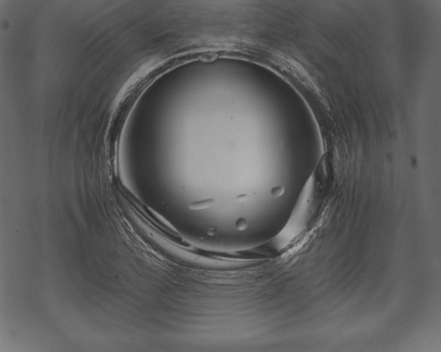 X0000070191172200605301305