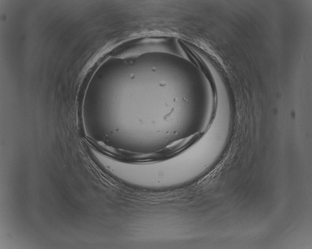 X0000070191173200605301305