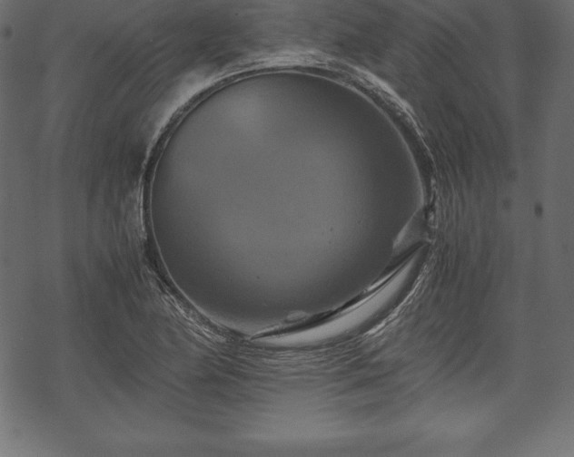 X0000070191174200605301305