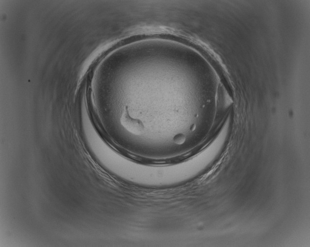 X0000070191175200605301305