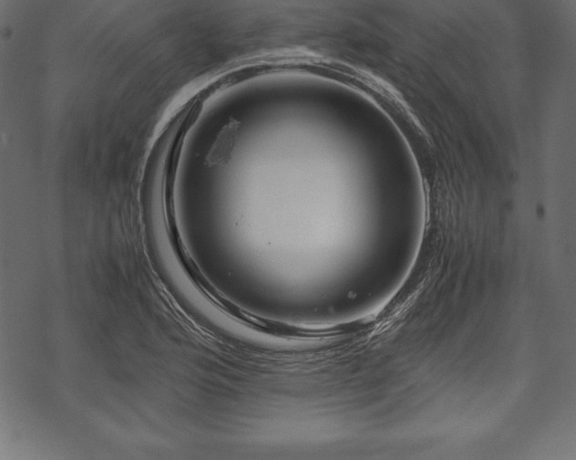 X0000070191176200605301305