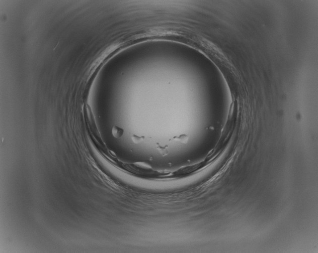 X0000070191177200605301305