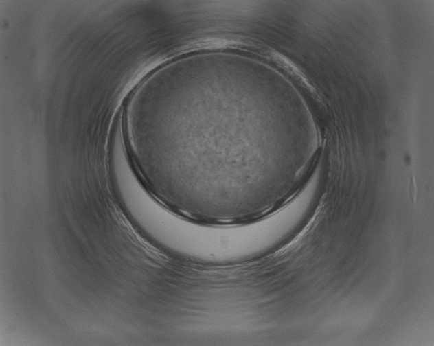 X0000070191178200605301305