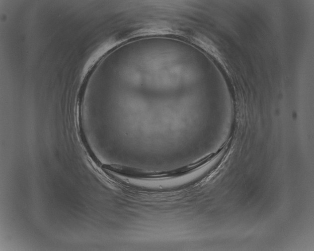 X0000070191179200605301305