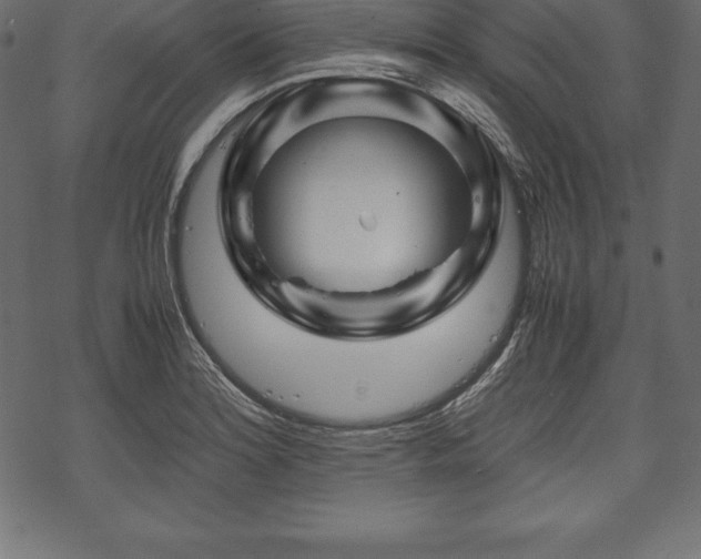 X0000070191180200605301305