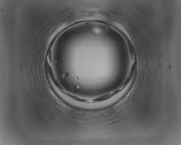 X0000070191181200605301305