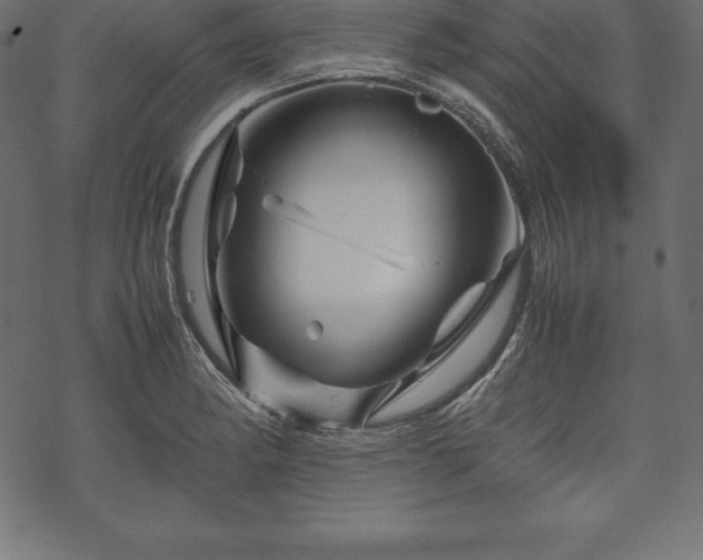 X0000070191182200605301305