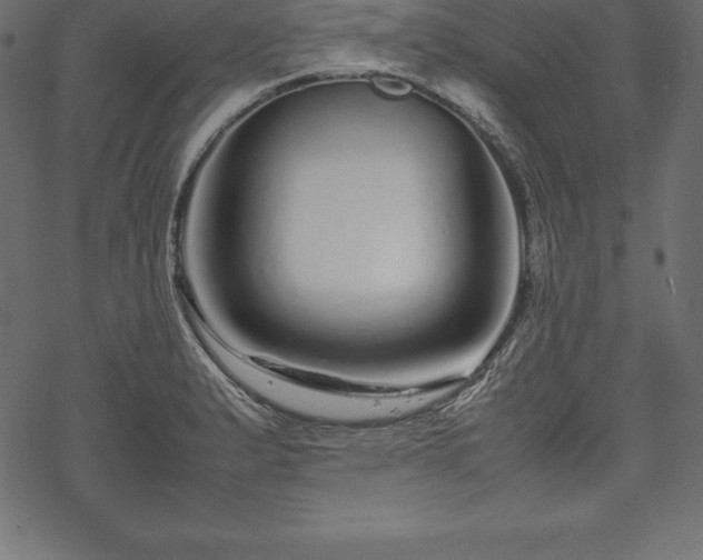 X0000070191183200605301305