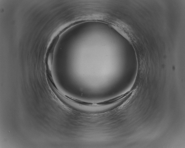 X0000070191184200605301305