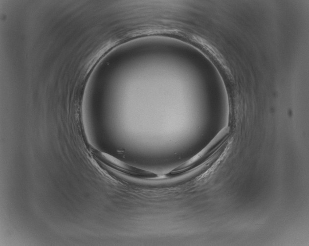 X0000070191185200605301305