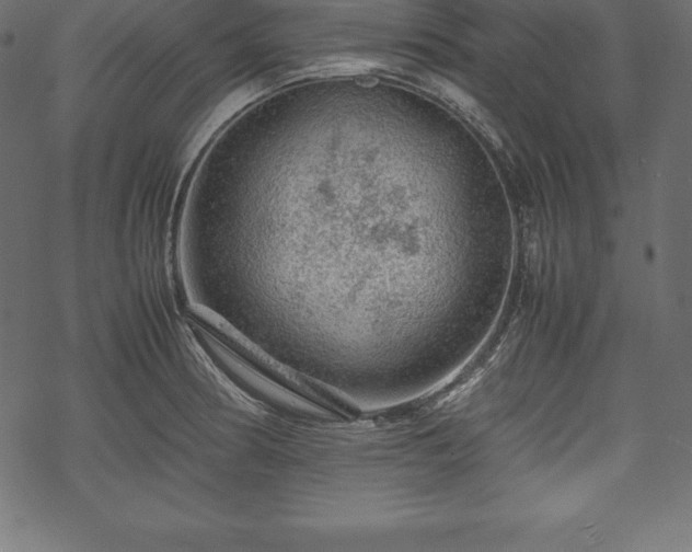 X0000070191186200605301305