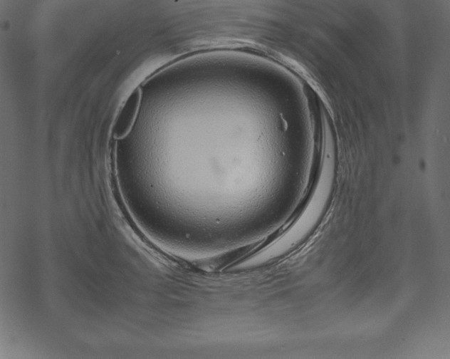 X0000070191187200605301305