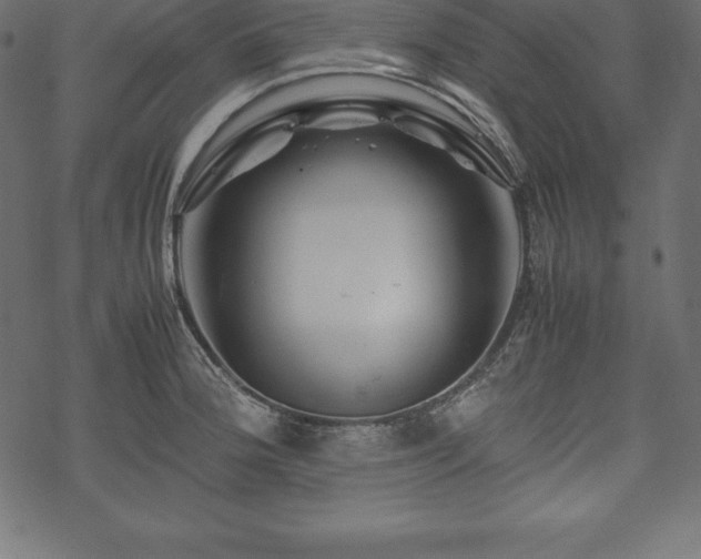 X0000070191188200605301305