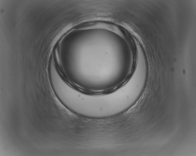 X0000070191189200605301305